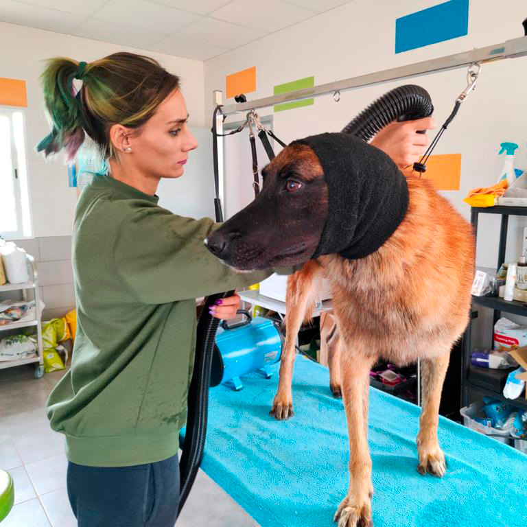 Peluquería canina en Valencia