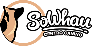 SoWhau