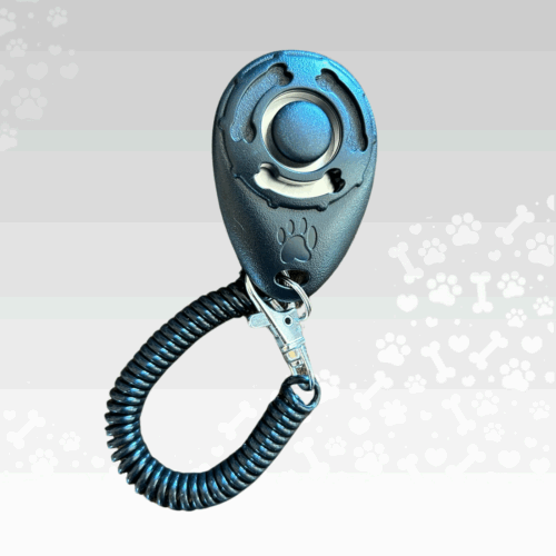 Clicker con elástico